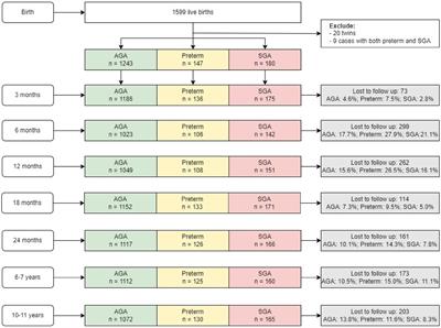 Growth patterns of preterm and small for gestational age children during the first 10 years of life